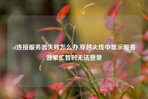 cf连接服务器失败怎么办,穿越火线中显示服务器繁忙暂时无法登录