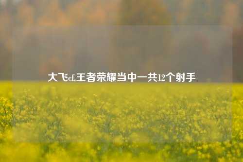 大飞cf,王者荣耀当中一共12个射手