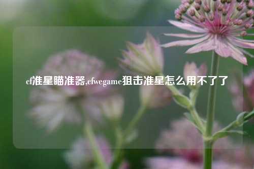 cf准星瞄准器,cfwegame狙击准星怎么用不了了