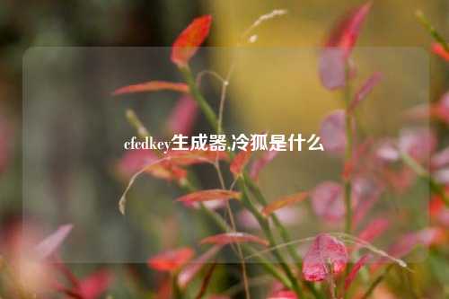 cfcdkey生成器,冷狐是什么