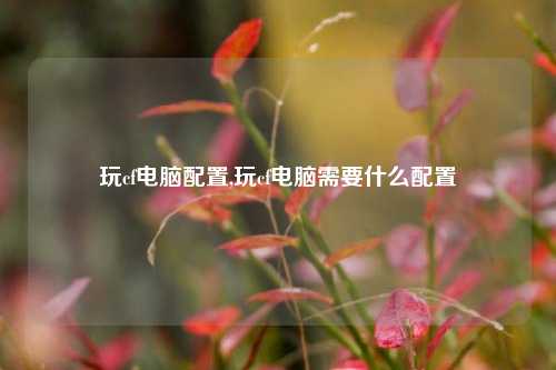 玩cf电脑配置,玩cf电脑需要什么配置