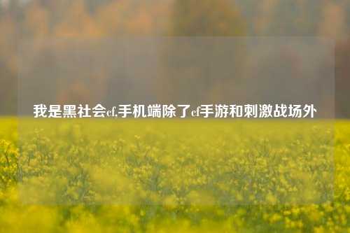 我是黑社会cf,手机端除了cf手游和刺激战场外