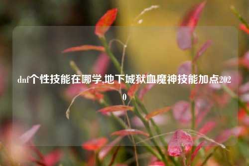 dnf个性技能在哪学,地下城狱血魔神技能加点2020