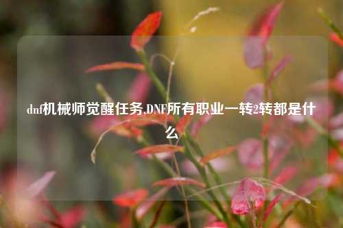 dnf机械师觉醒任务,DNF所有职业一转2转都是什么