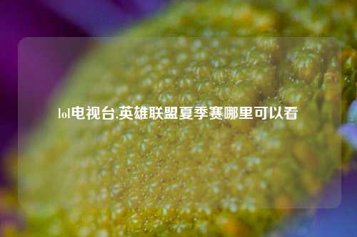 lol电视台,英雄联盟夏季赛哪里可以看