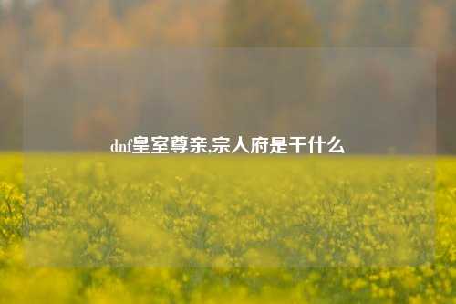 dnf皇室尊亲,宗人府是干什么