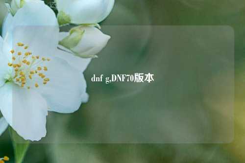 dnf g,DNF70版本