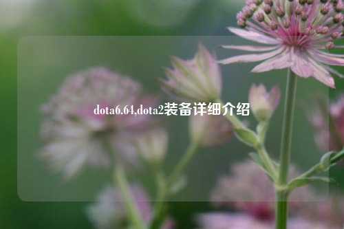 dota6.64,dota2装备详细介绍