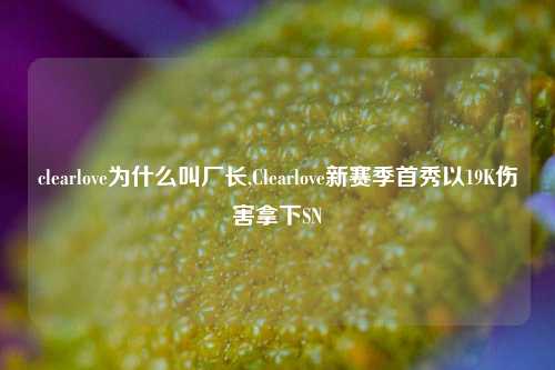 clearlove为什么叫厂长,Clearlove新赛季首秀以19K伤害拿下SN