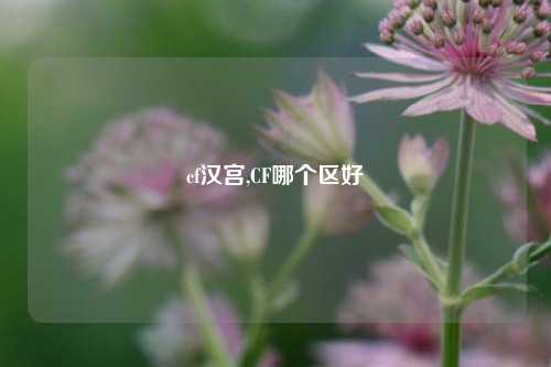 cf汉宫,CF哪个区好