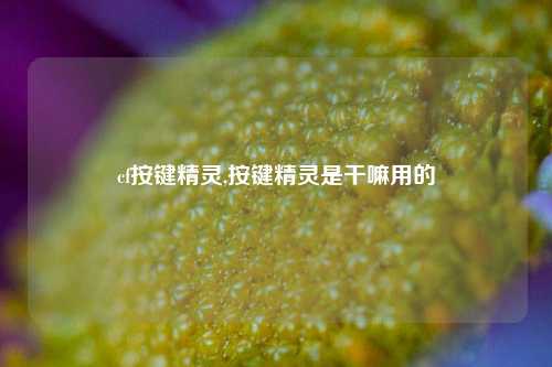 cf按键精灵,按键精灵是干嘛用的