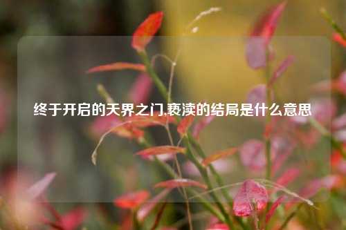 终于开启的天界之门,亵渎的结局是什么意思