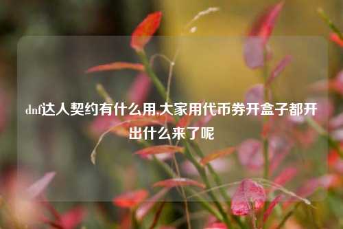 dnf达人契约有什么用,大家用代币券开盒子都开出什么来了呢
