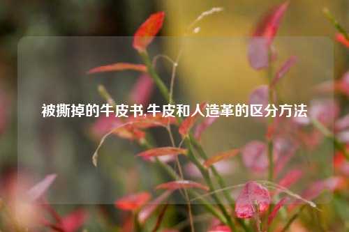 被撕掉的牛皮书,牛皮和人造革的区分方法