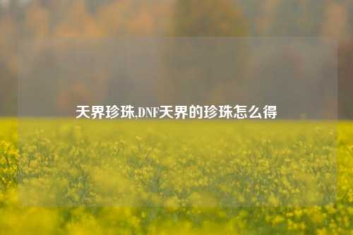 天界珍珠,DNF天界的珍珠怎么得