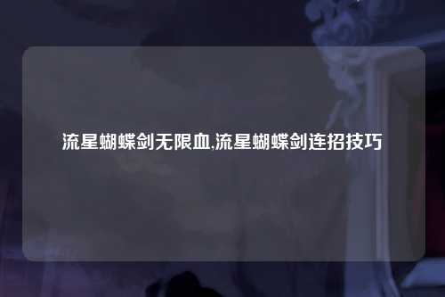 流星蝴蝶剑无限血,流星蝴蝶剑连招技巧