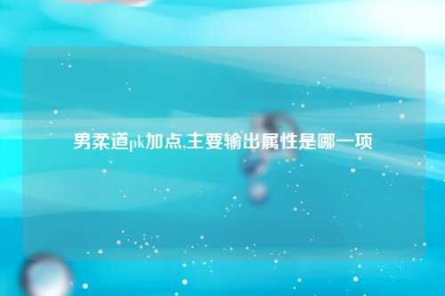 男柔道pk加点,主要输出属性是哪一项
