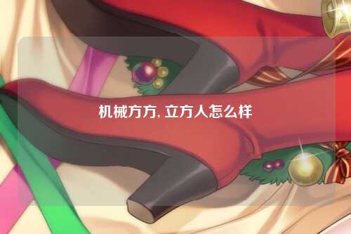 机械方方, 立方人怎么样