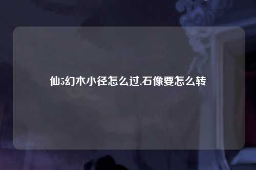 仙5幻木小径怎么过,石像要怎么转