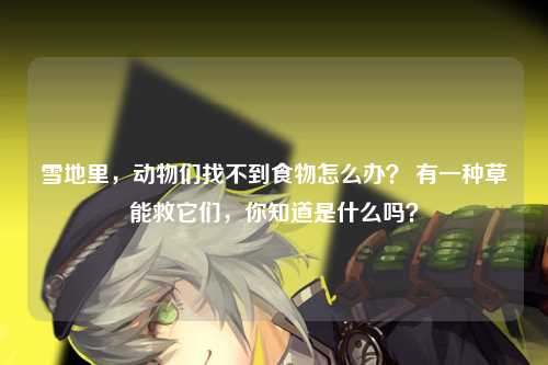 雪地里，动物们找不到食物怎么办？ 有一种草能救它们，你知道是什么吗？