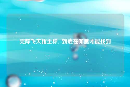 完际飞天猪坐标,  到底在哪里才能找到