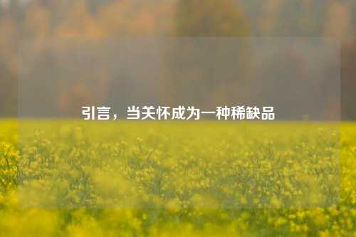 引言，当关怀成为一种稀缺品