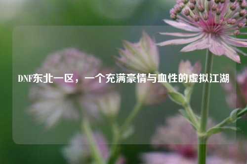 DNF东北一区，一个充满豪情与血性的虚拟江湖