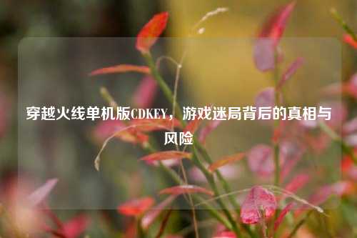 穿越火线单机版CDKEY，游戏迷局背后的真相与风险