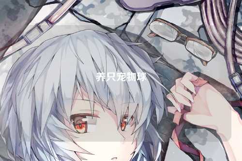 养只宠物球
