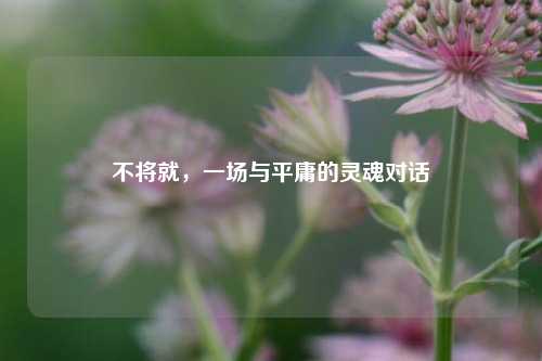 不将就，一场与平庸的灵魂对话