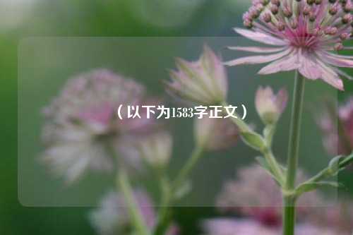 （以下为1583字正文）