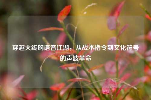 穿越火线的语音江湖，从战术指令到文化符号的声波革命