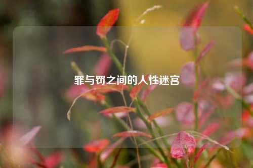 罪与罚之间的人性迷宫
