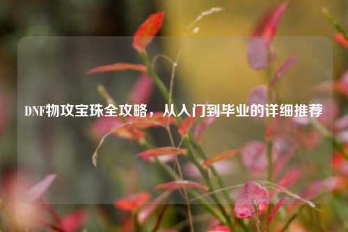 DNF物攻宝珠全攻略，从入门到毕业的详细推荐