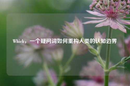 Which，一个疑问词如何重构人类的认知边界