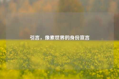 引言，像素世界的身份宣言