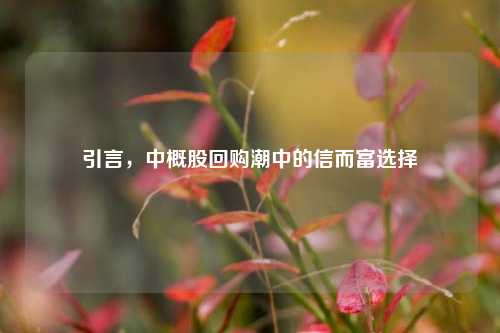 引言，中概股回购潮中的信而富选择