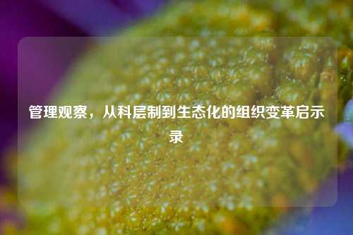 管理观察，从科层制到生态化的组织变革启示录