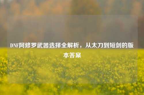 DNF阿修罗武器选择全解析，从太刀到短剑的版本答案
