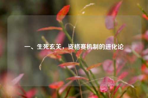 一、生死玄关，资格赛机制的进化论