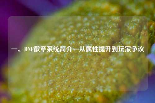 一、DNF徽章系统简介—从属性提升到玩家争议