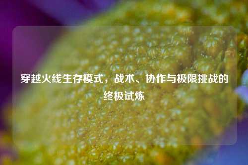 穿越火线生存模式，战术、协作与极限挑战的终极试炼