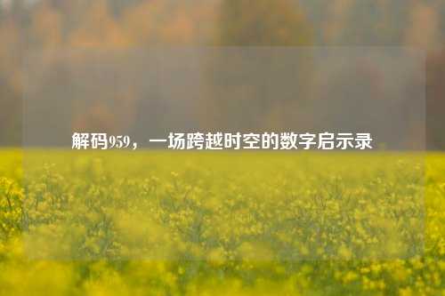 解码959，一场跨越时空的数字启示录