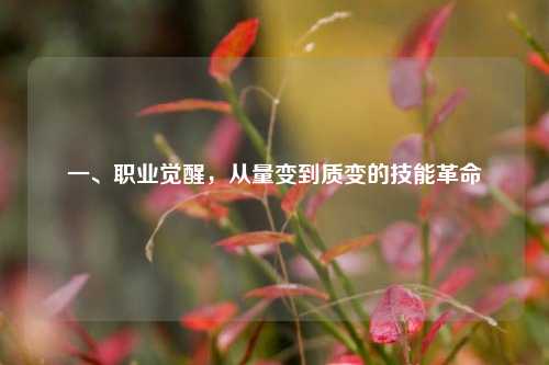一、职业觉醒，从量变到质变的技能革命