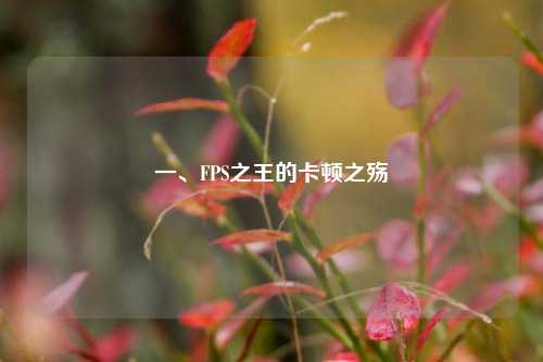 一、FPS之王的卡顿之殇