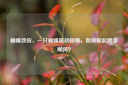 蝴蝶效应，一只蝴蝶扇动翅膀，如何掀起跨洋飓风？