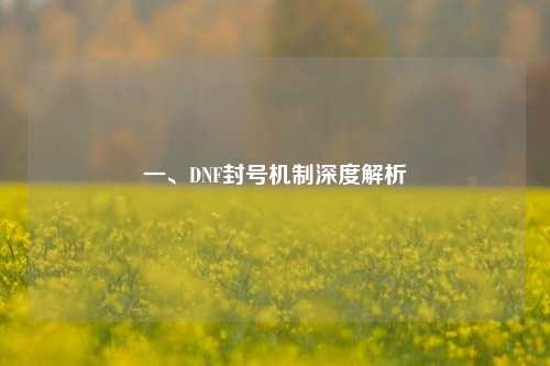 一、DNF封号机制深度解析