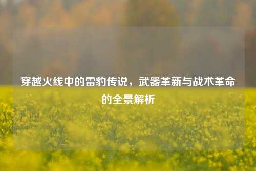 穿越火线中的雷豹传说，武器革新与战术革命的全景解析