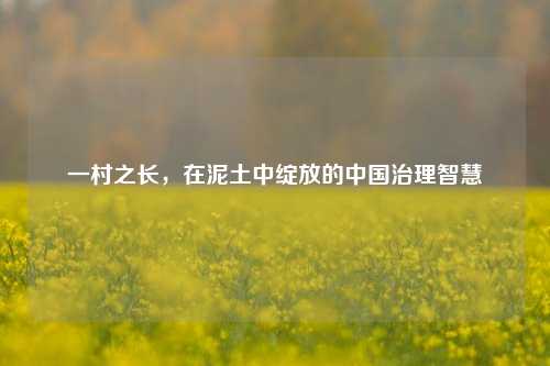 一村之长，在泥土中绽放的中国治理智慧