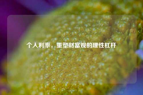 个人利率，重塑财富观的理性杠杆